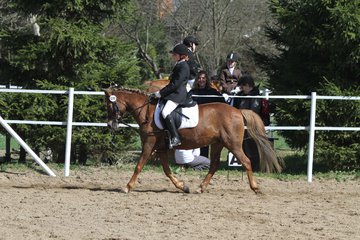 Bild 389 - WBO-Turnier am 9.4.11